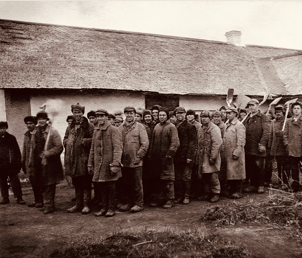 Древо жизни