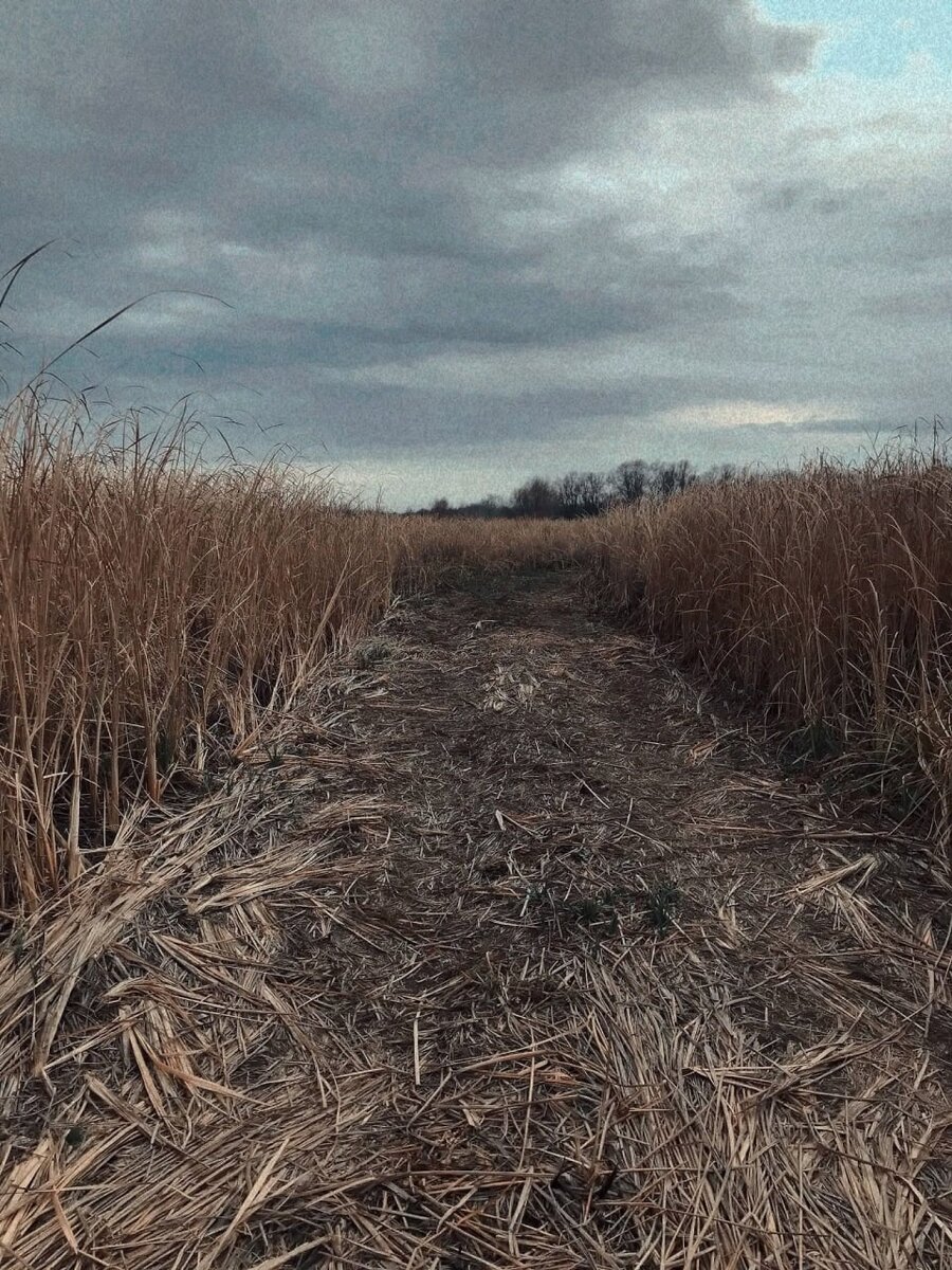 Фото моего авторства