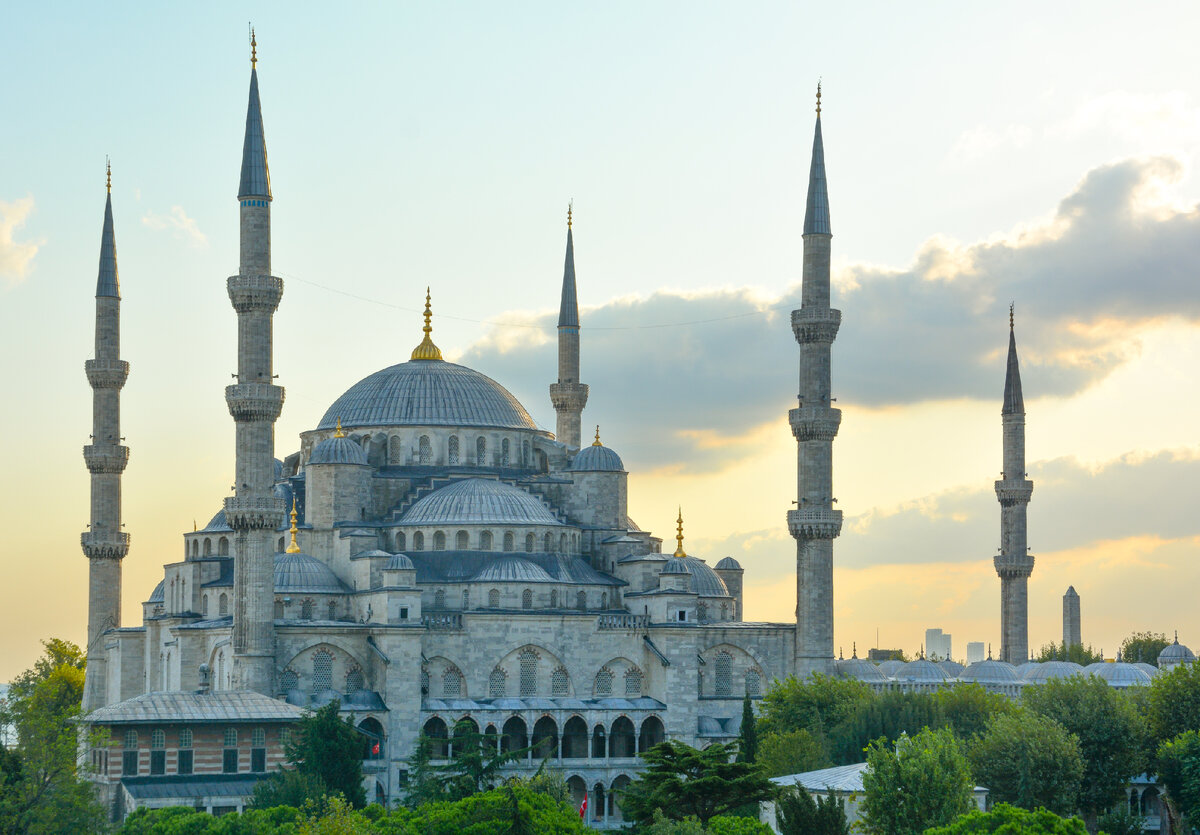 Изображение Adli Wahid, фото взято с бесплатного фотостока