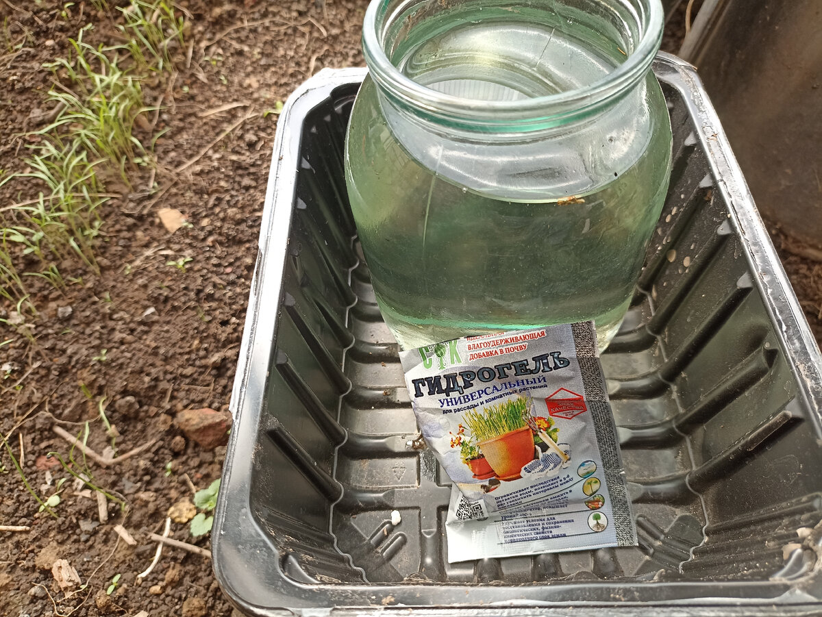 Пакетик гидрогеля 10 г растворила в 1 л воды. Фото автора. Листай карусель