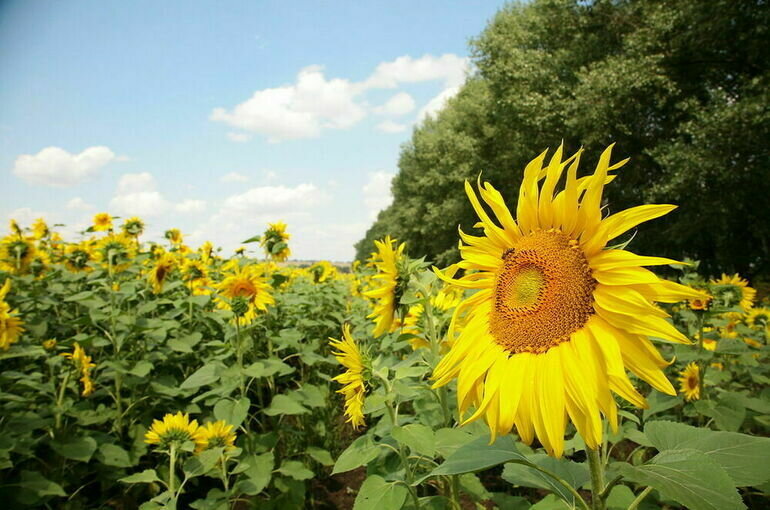   Игорь Самохвалов/ПГ