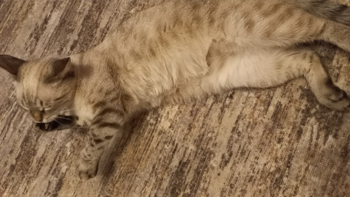 Люсьен.
