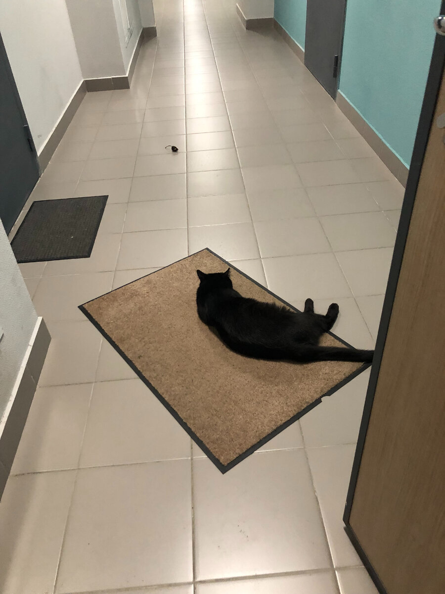 Кирюша в ожидании подписчиков