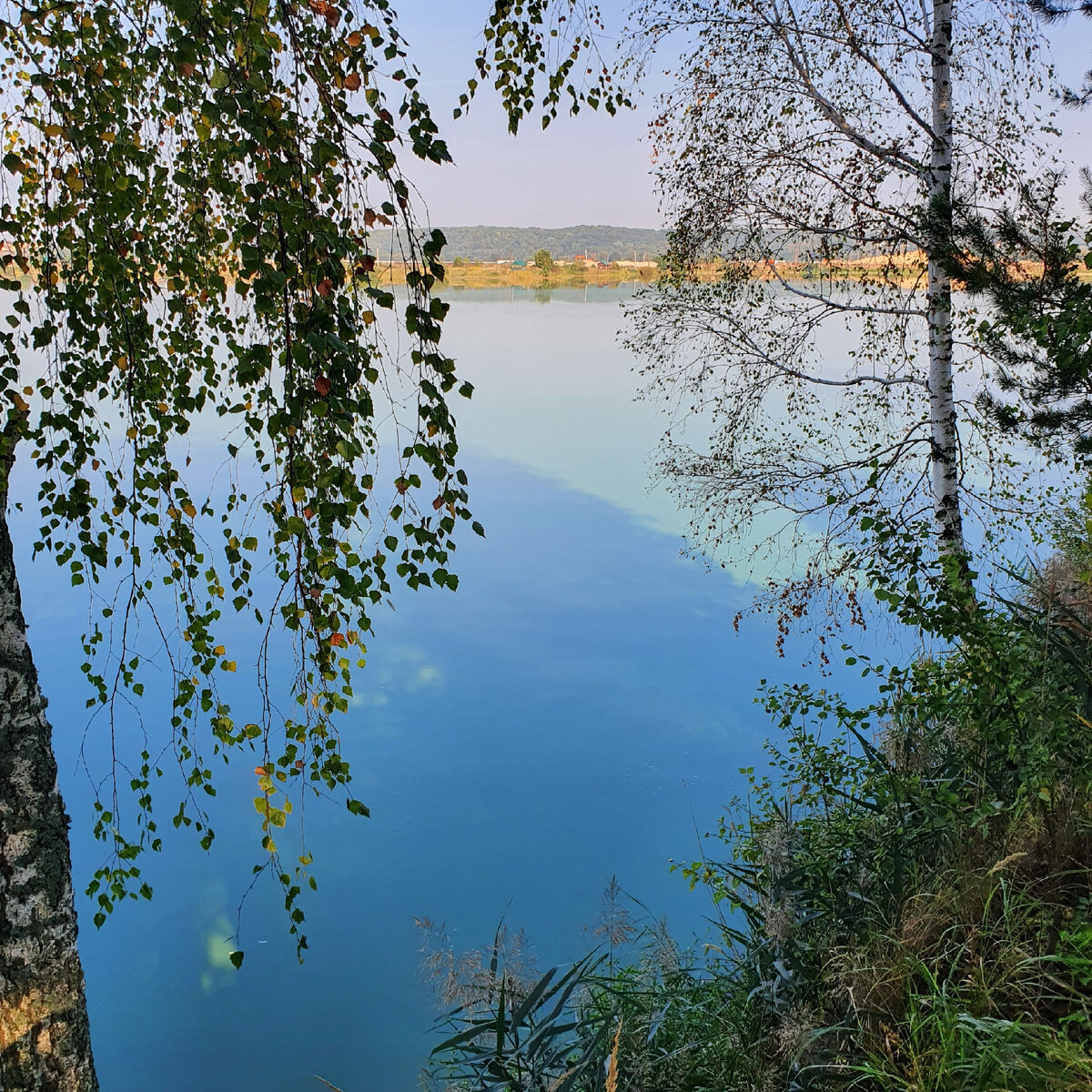 Вот такой прекрасный кадр сделан на рыбалке в Курской области.