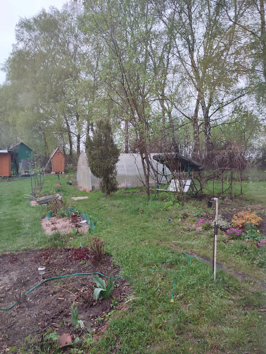 Всё зеленое-зеленое, пора траву косить