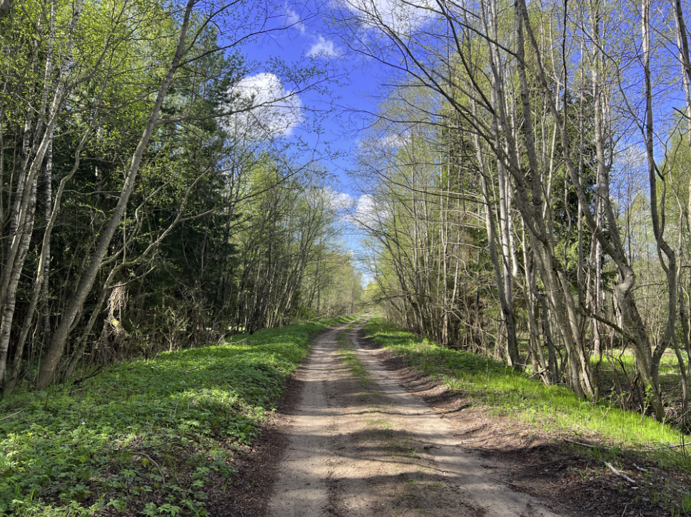 Были бы помоложе - посмотрели бы куда ведет дорога)