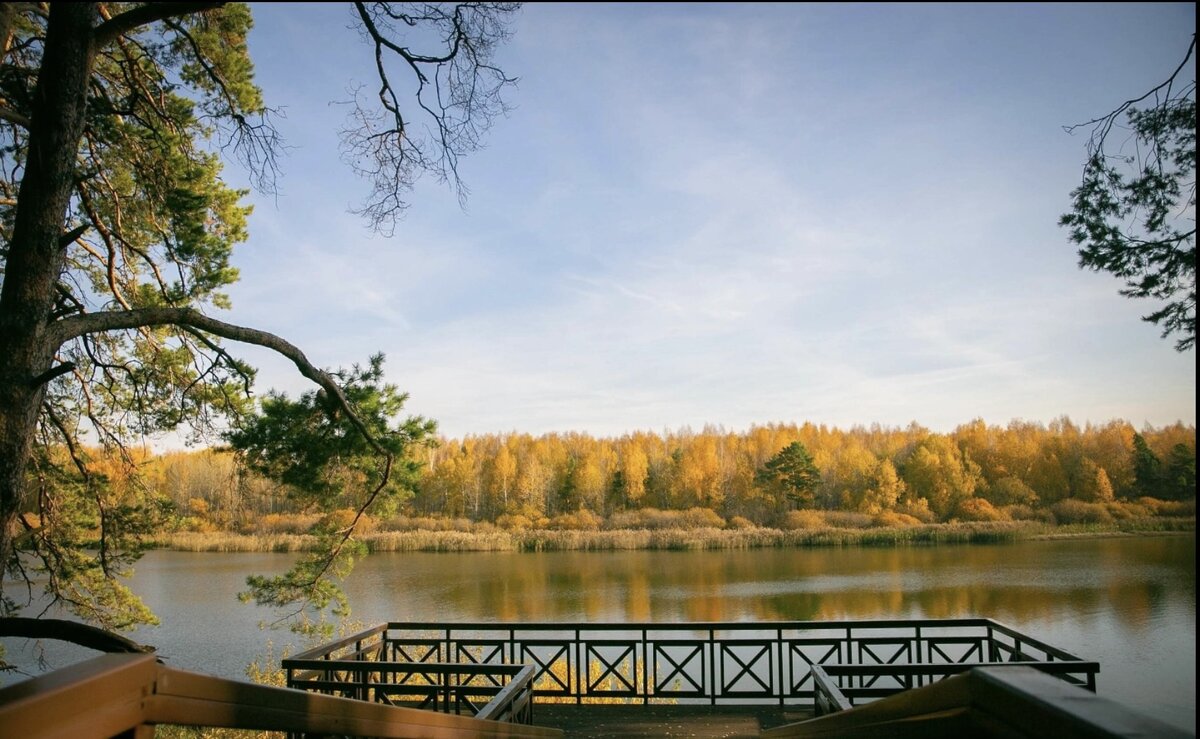 Фото из открытого источника 