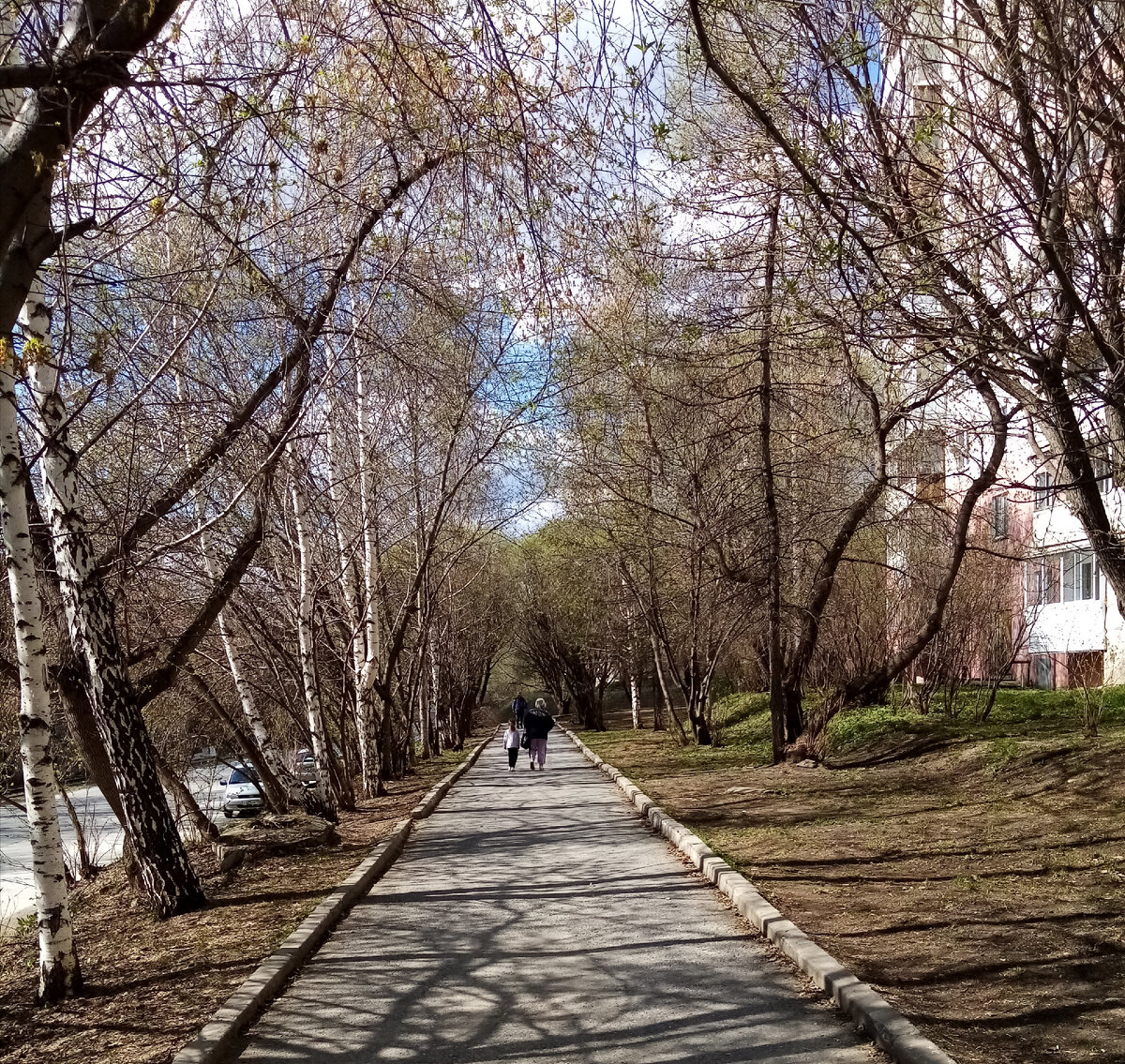 Аллея радости у моего дама.