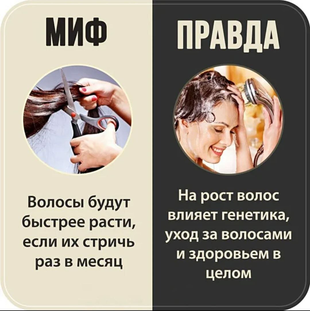 Смешные картинки про волосы