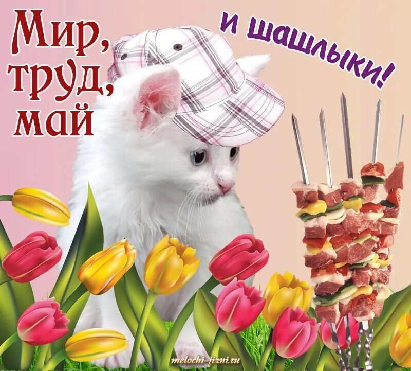 Картинка из открытого доступа