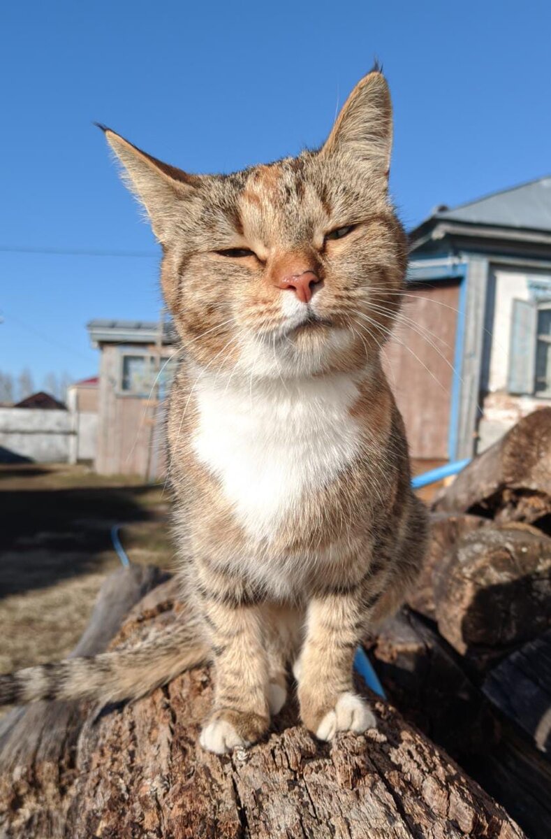 Вот такая Чучундра уже сразу привлекает внимание.