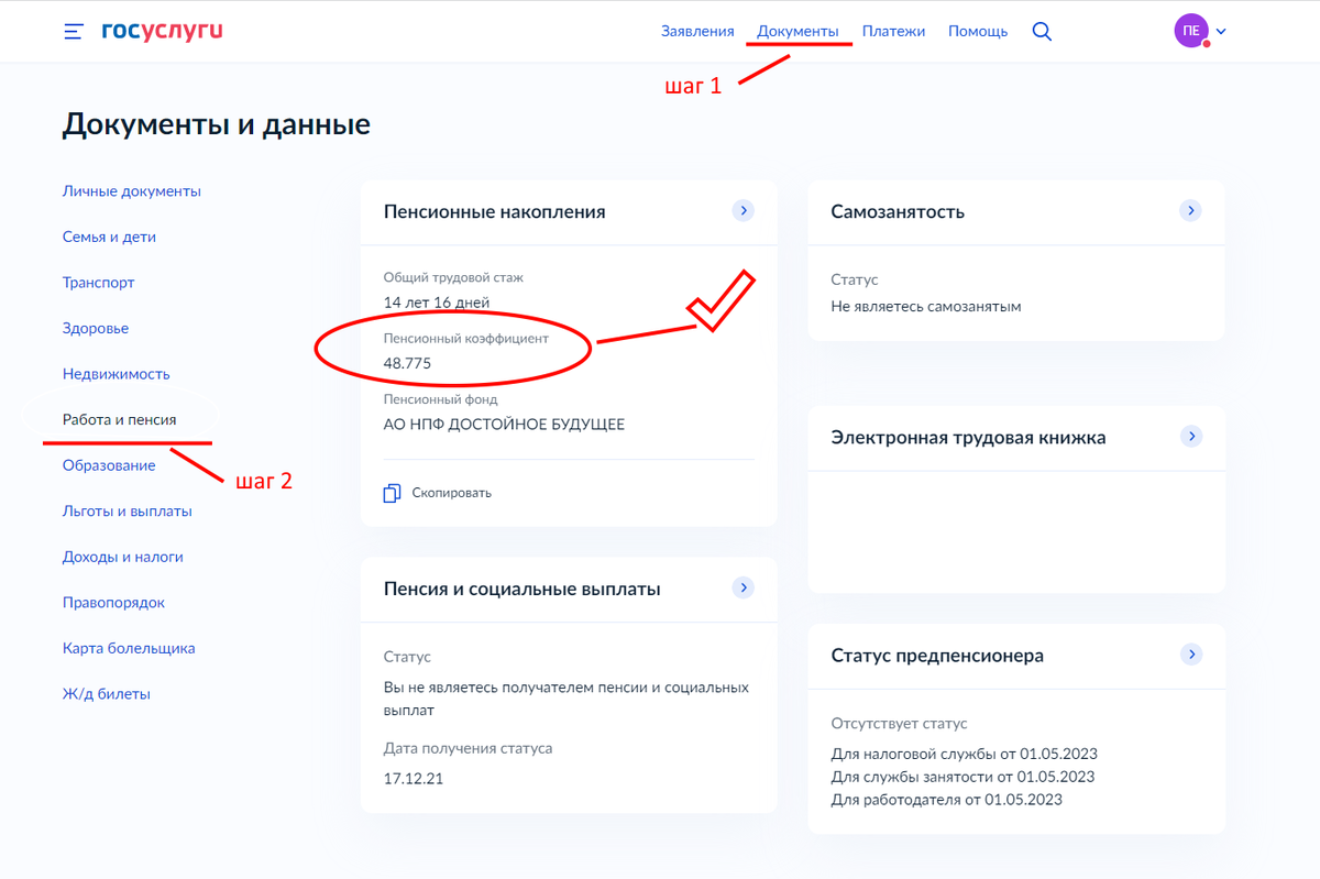Где узнать пенсионные накопления в госуслугах. Как узнать пенсионные баллы на госуслугах.