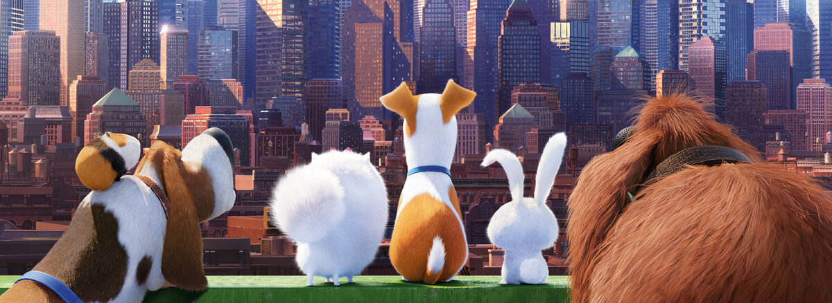 Тайная жизнь домашних животных © 2016 UNIVERSAL STUDIOS. Все права защищены.