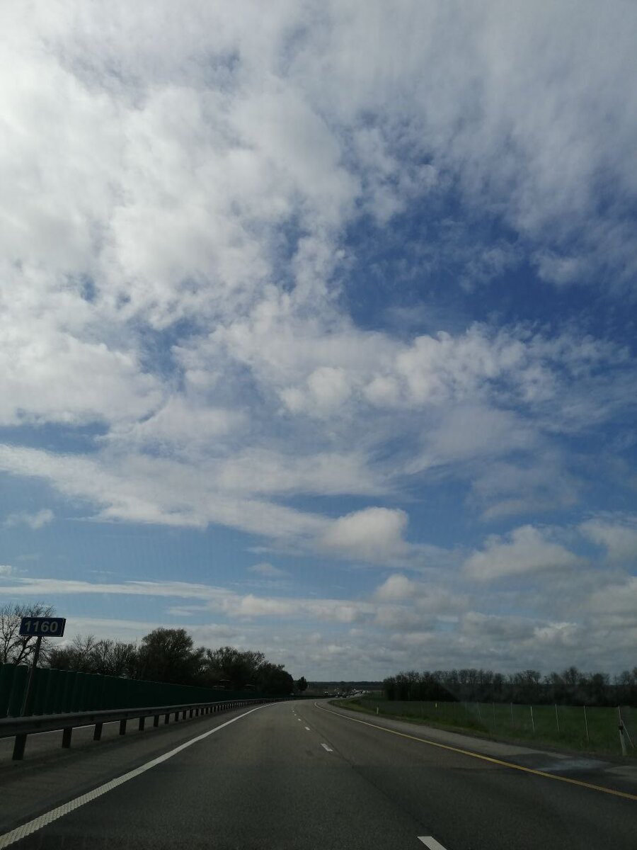 фото из личного архива. Картинка которая радует глаз