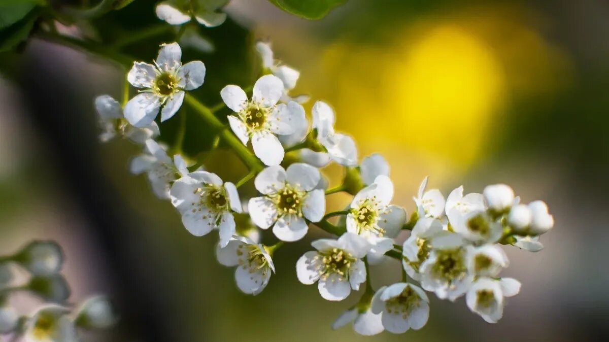 Во многие регионы России придет долгожданное тело. Фото: pxhere.com