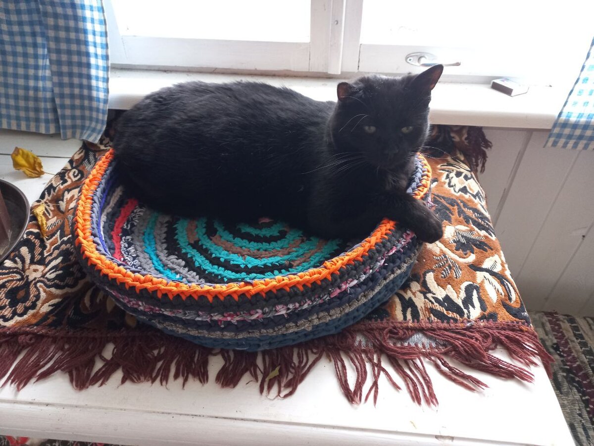 Тучик в гнезде