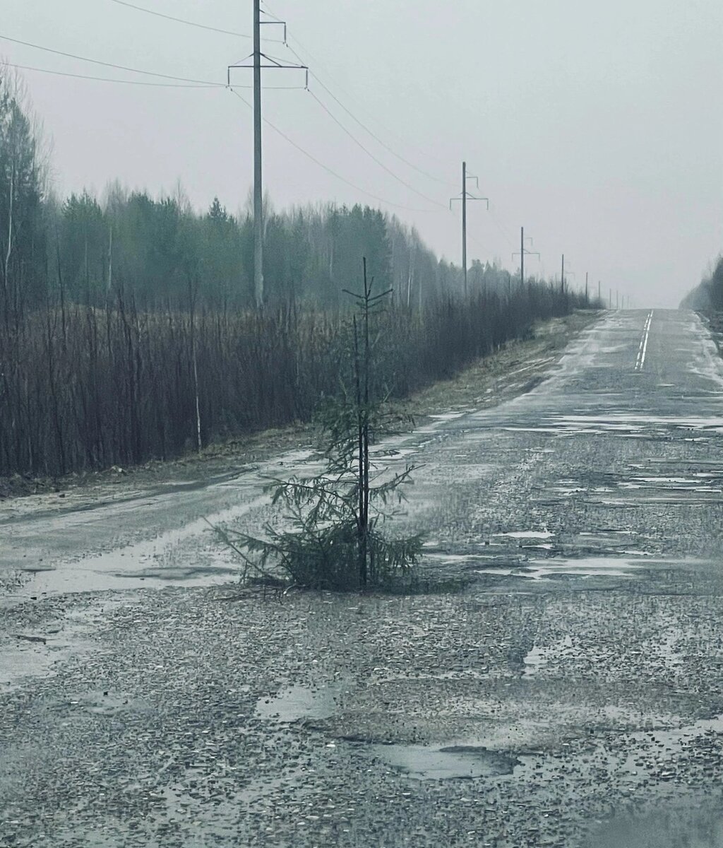Фото : Прикасмкая новь