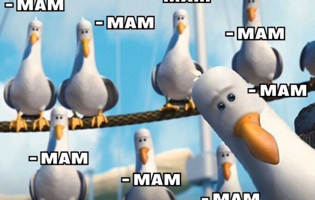 Фото: fishki.net