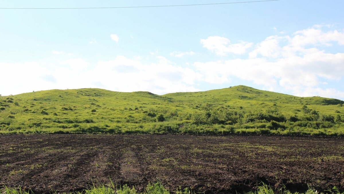     О нарушениях при обращении с пестицидами в Туркменском округе сообщили в Северо-Кавказском межрегиональном управлении Россельхознадзора.