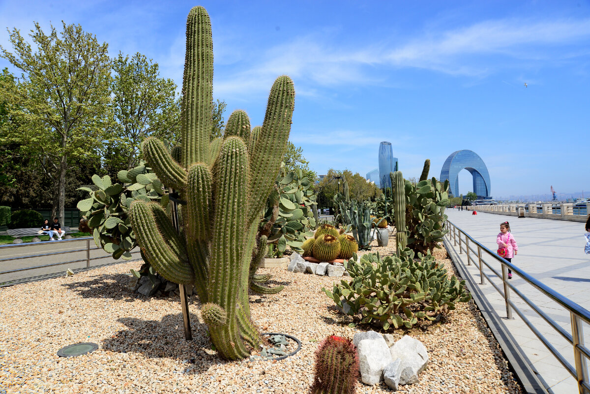 Бакинский бульвар