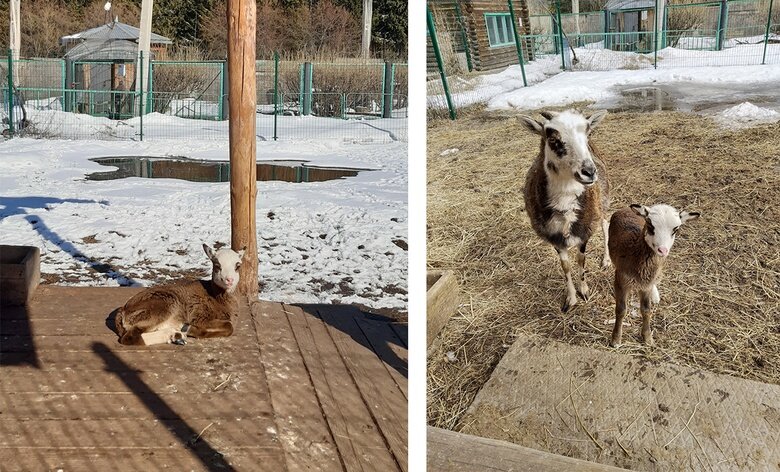 Листайте вправо, чтобы увидеть больше изображений