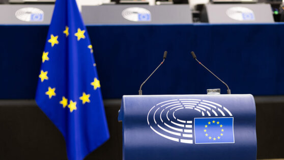    В Евросоюзе выступили за принятие решений по внешней политике голосованием без права вето Анна Оленькова