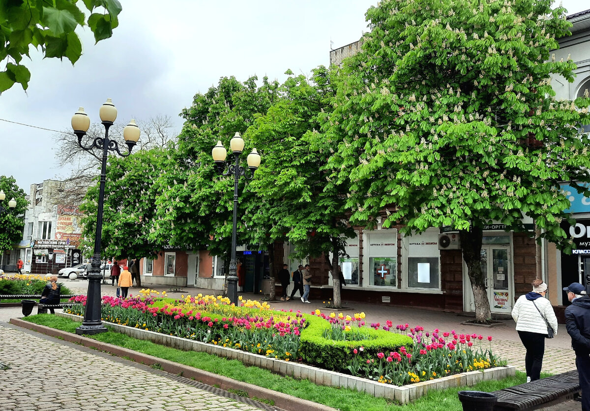 Современный центр города, рынок.