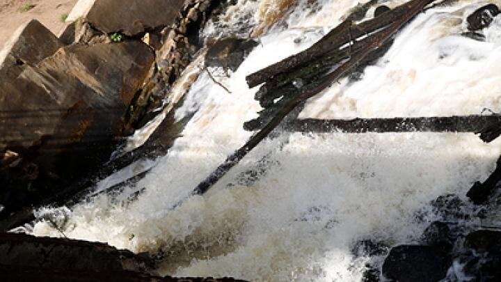 Фото: globallookpress.com/Maksim Konstantinov