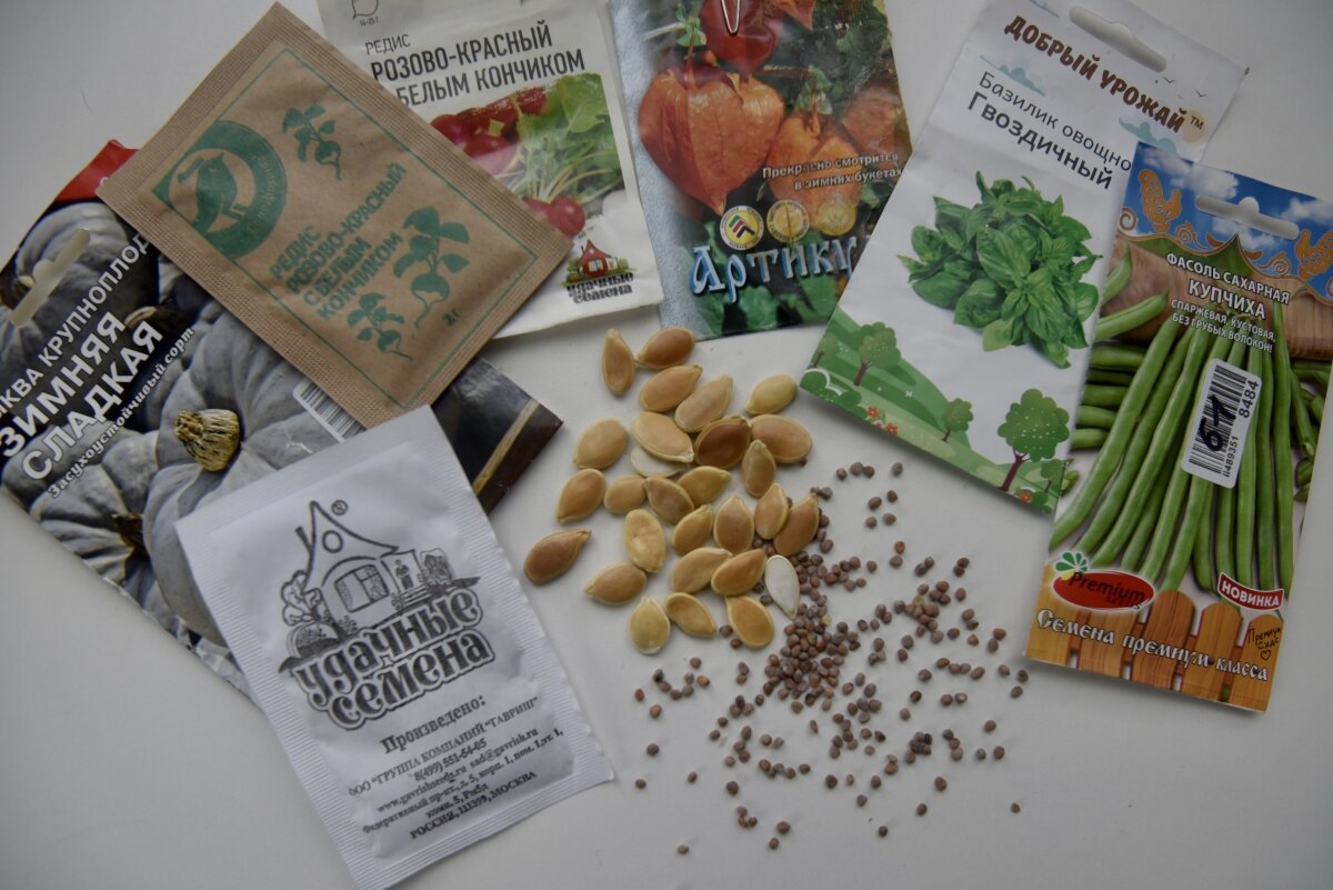 Семена. Фото: Дарья Ильина © REX