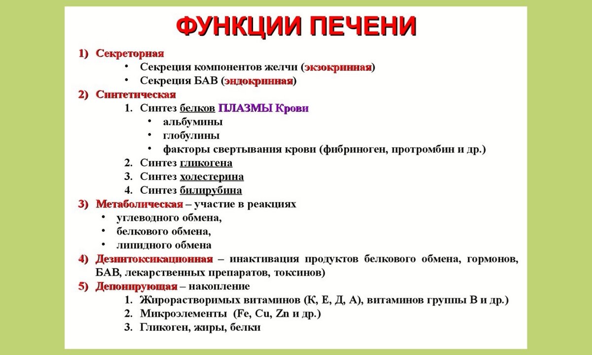 Функции свойства в организме человека