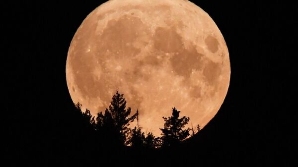    © Sputnik / Ilya Naymushin