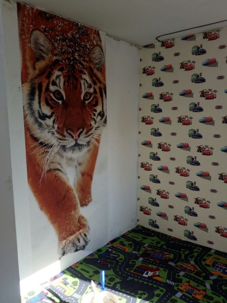 Преображаем детскую комнату по желанию детей. Фото сделано мной.