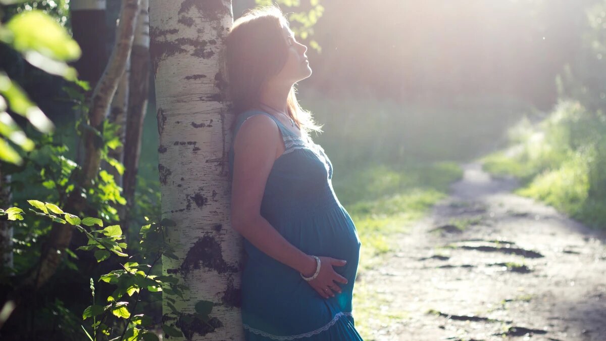 Фото: pxhere.com