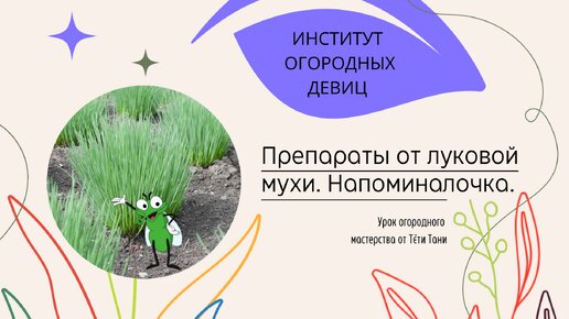 Напоминалочка. Препараты от луковой мухи.