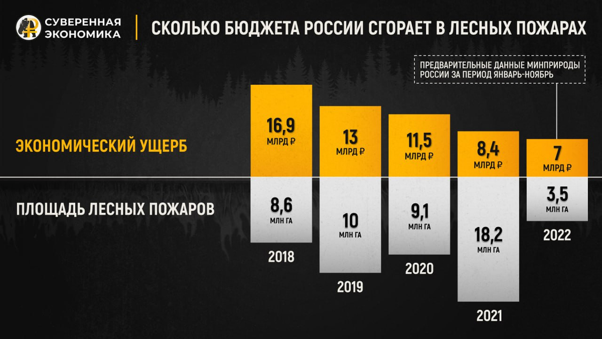 История насколько. Ущерб от лесных пожаров за последние пять лет. Сколько лесных пожаров в 2022 году. Ущерб от лесных пожаров в России за последние 5 лет.