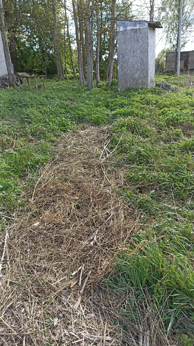 Вторая дорожка, от грядок к сортиру.