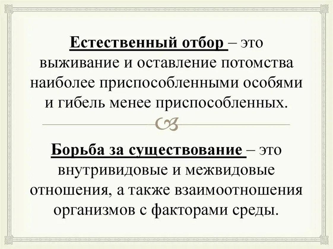 Естественно биологический. Что такое естественный отбор в биологии 7 класс определение кратко. Естественный отбор это в биологии 7 класс кратко. Естественный отбор это в биологии кратко. Естественный отбор определение.