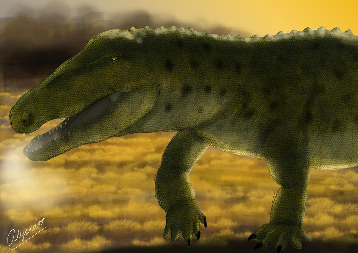 Твоё лицо, когда сдал ЕГЭ.