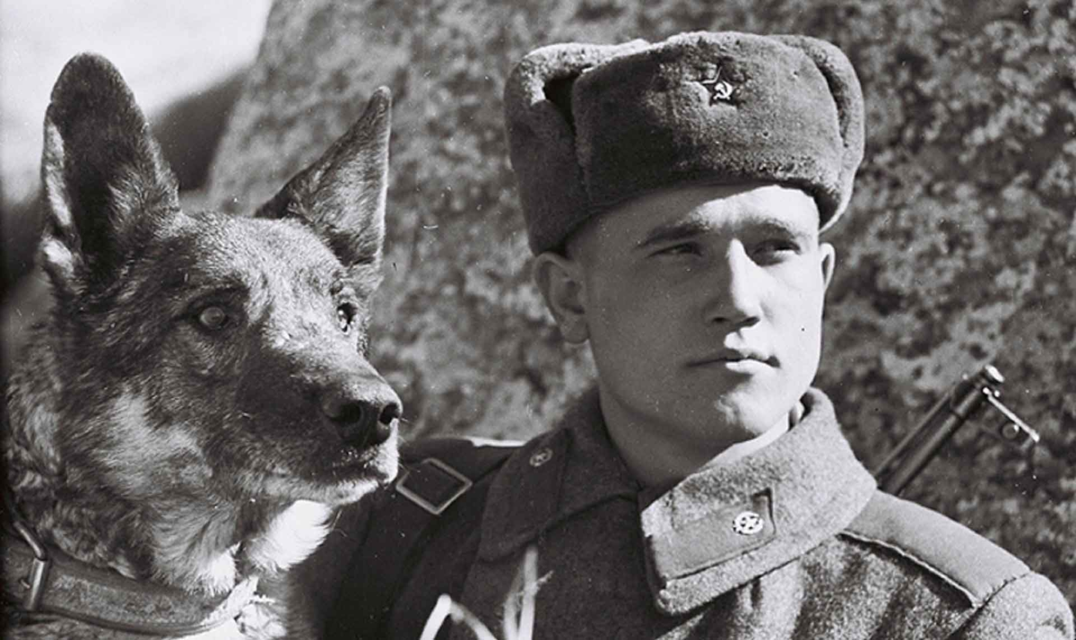 Во время Великой Отечественной войны появилось много героев как на поле боя, так и в тылу.-2