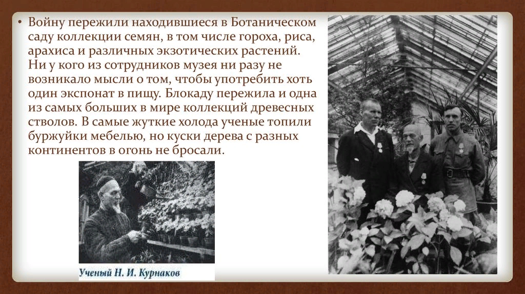 Юннаты блокадного ленинграда 7 класс. Ботанический сад в блокаду Ленинграда. Ботанический сад СПБ В годы блокады. Ботанический сад в блокаду. Ботанический сад в блокаду презентация.