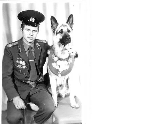 Его друг Герда - отважная собачка 💪