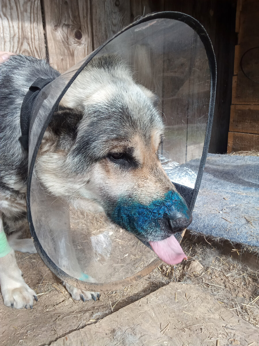 Сегодня все выглядит вполне прилично. Вчера был жуткий ужас....