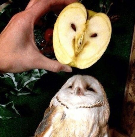 Источник www.storyblocks.com