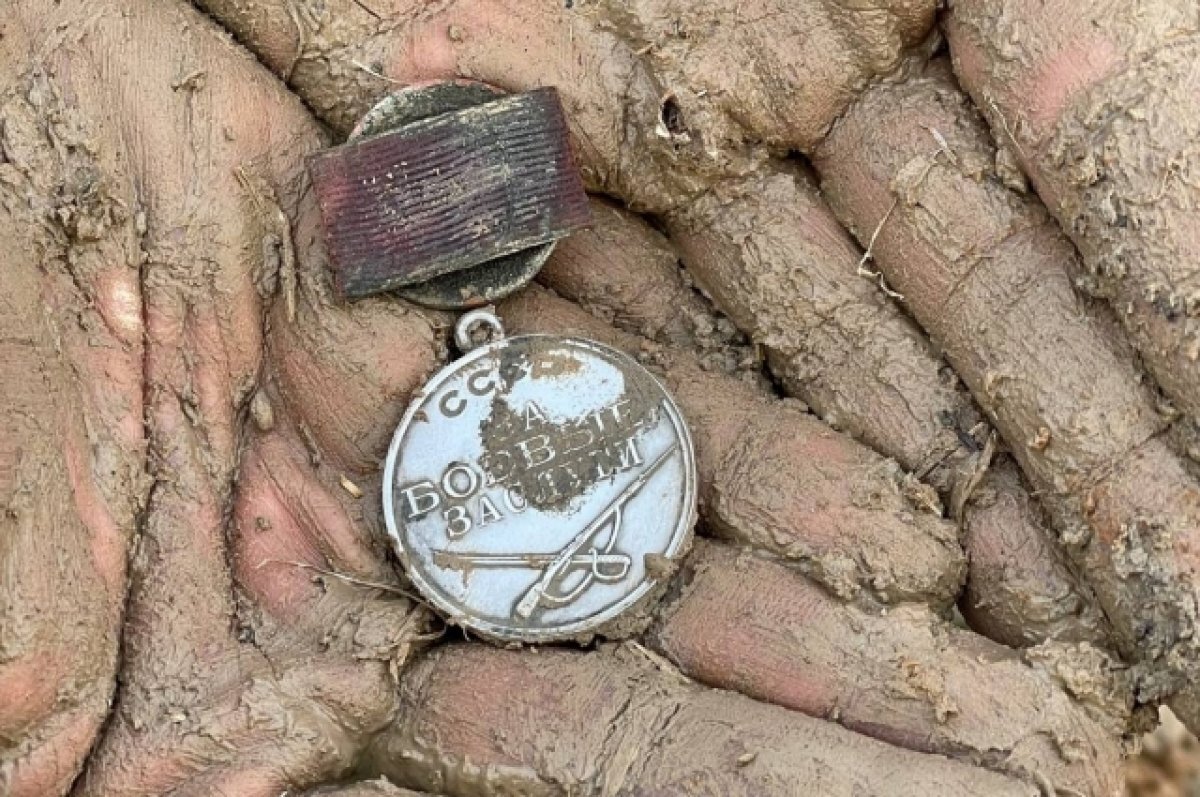    Поисковики установили личности бойцов, останки которых нашли под Ржевом