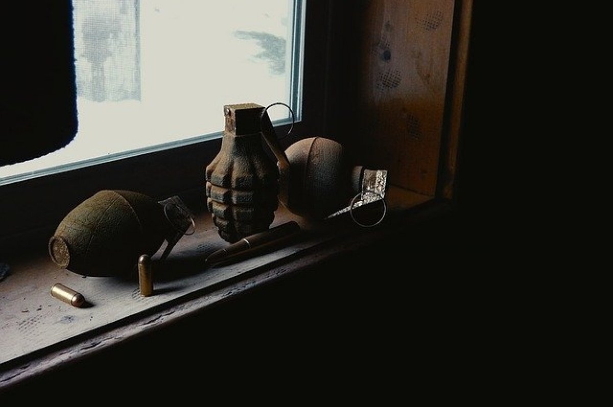    У жителя Московской области в руках взорвалась граната