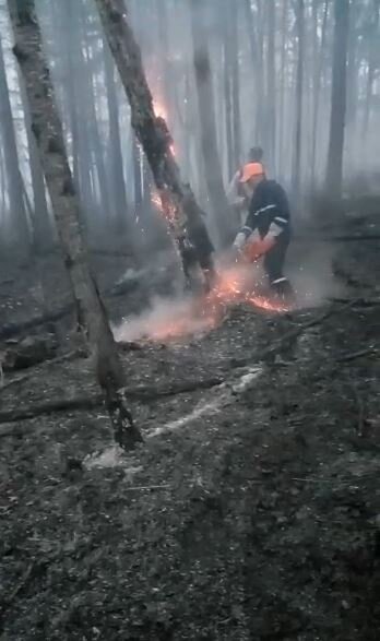    Фото: Амурский центр ГЗ и ПБ