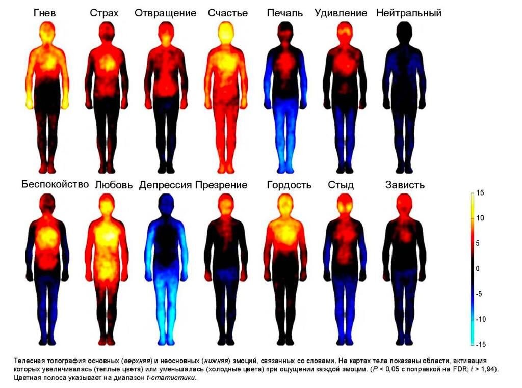 Восприятие температуры человеком. Тепловая карта эмоций. Цвета эмоций. Влияние эмоций на тело. Разные эмоции человека.