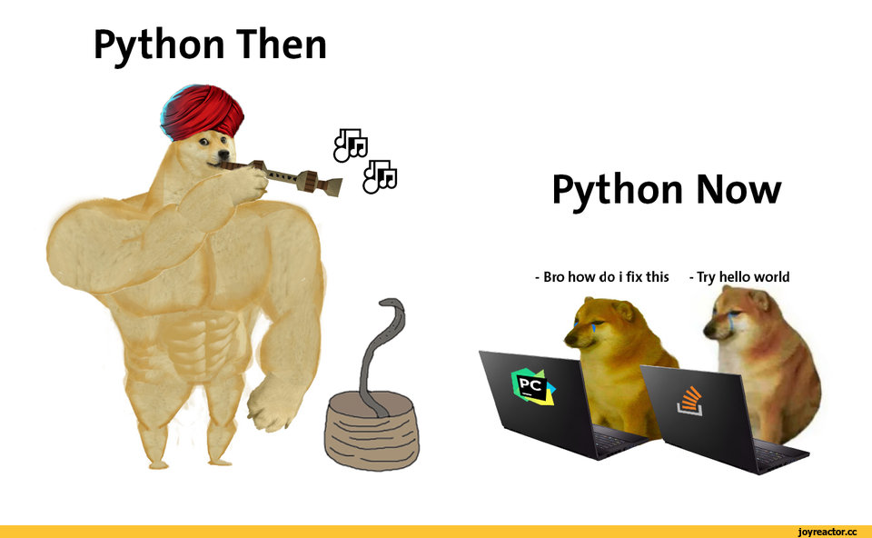 Making it the world s. Python приколы. Питон программист прикол. Шутки про Пайтон. Шутка программирование на питоне.