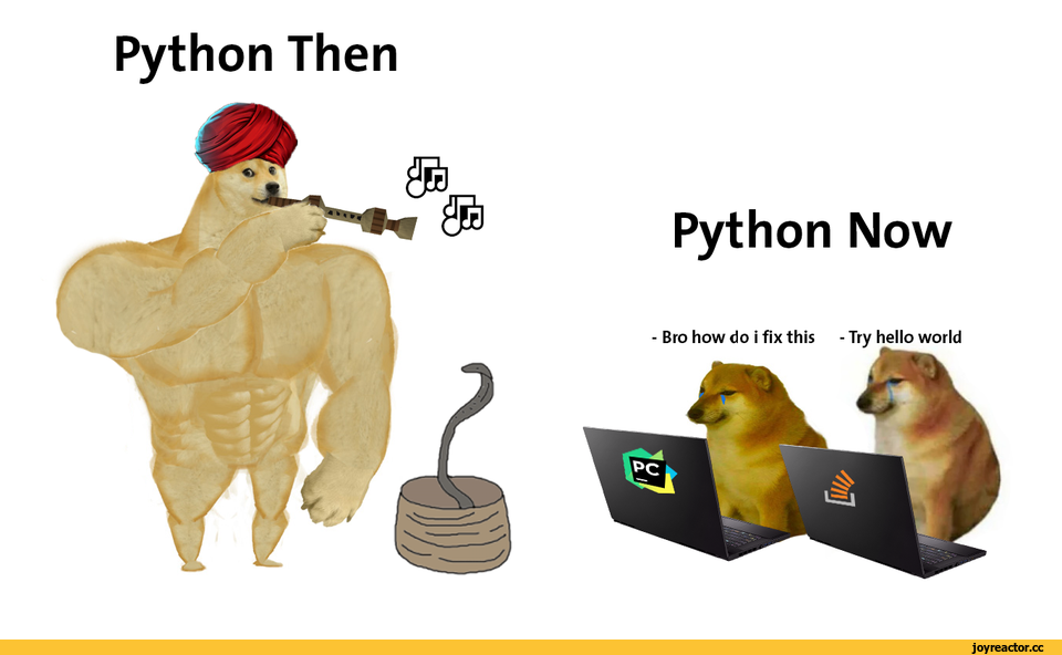 C be v. Python приколы. Мемы про питон. Питон программист прикол. Шутки про Пайтон.