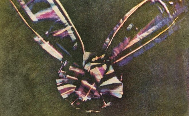 Фото: wikipedia.org